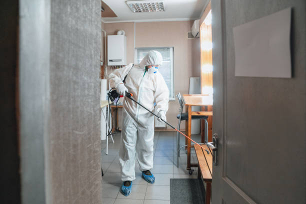 Best Emergency Mold Remediation  in Cleveland, TN